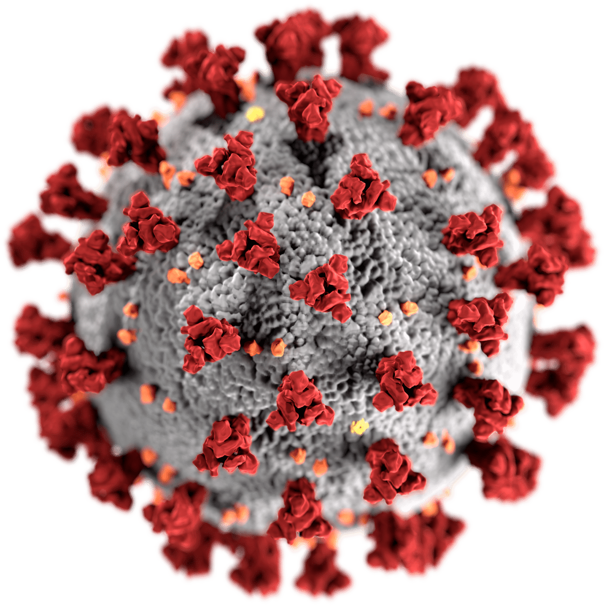 Covid-19 virus